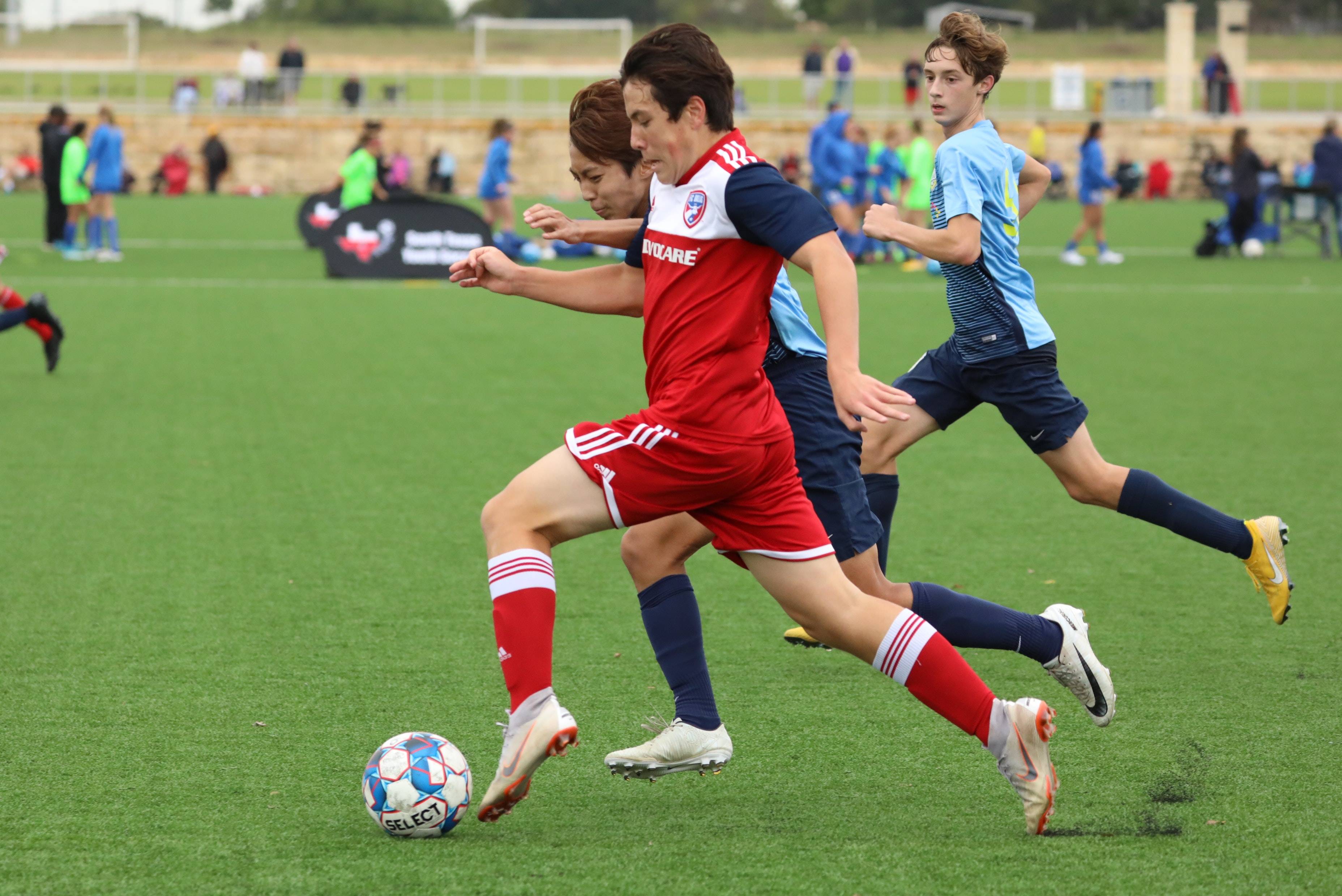 的大潮中 的大潮中